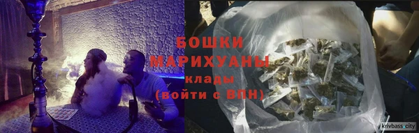 шишки Сатка