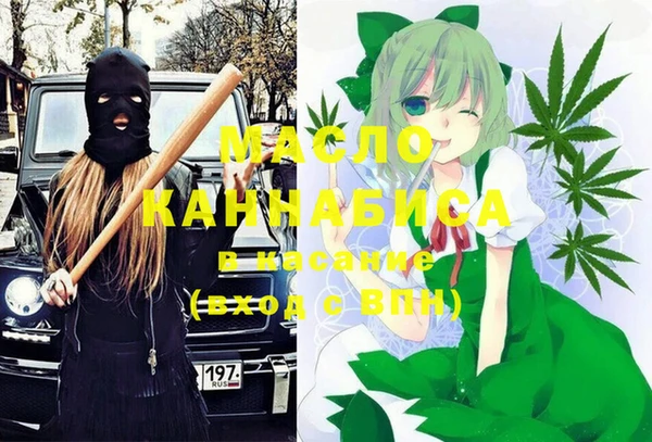 хмурый Алзамай