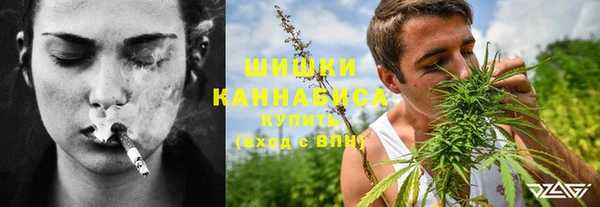гидра Алексин
