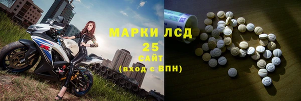 хмурый Алзамай