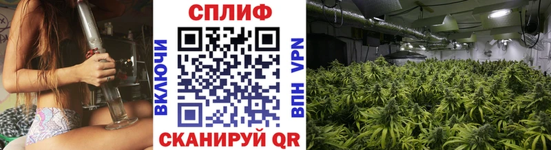 где найти наркотики Грязовец Конопля тримм